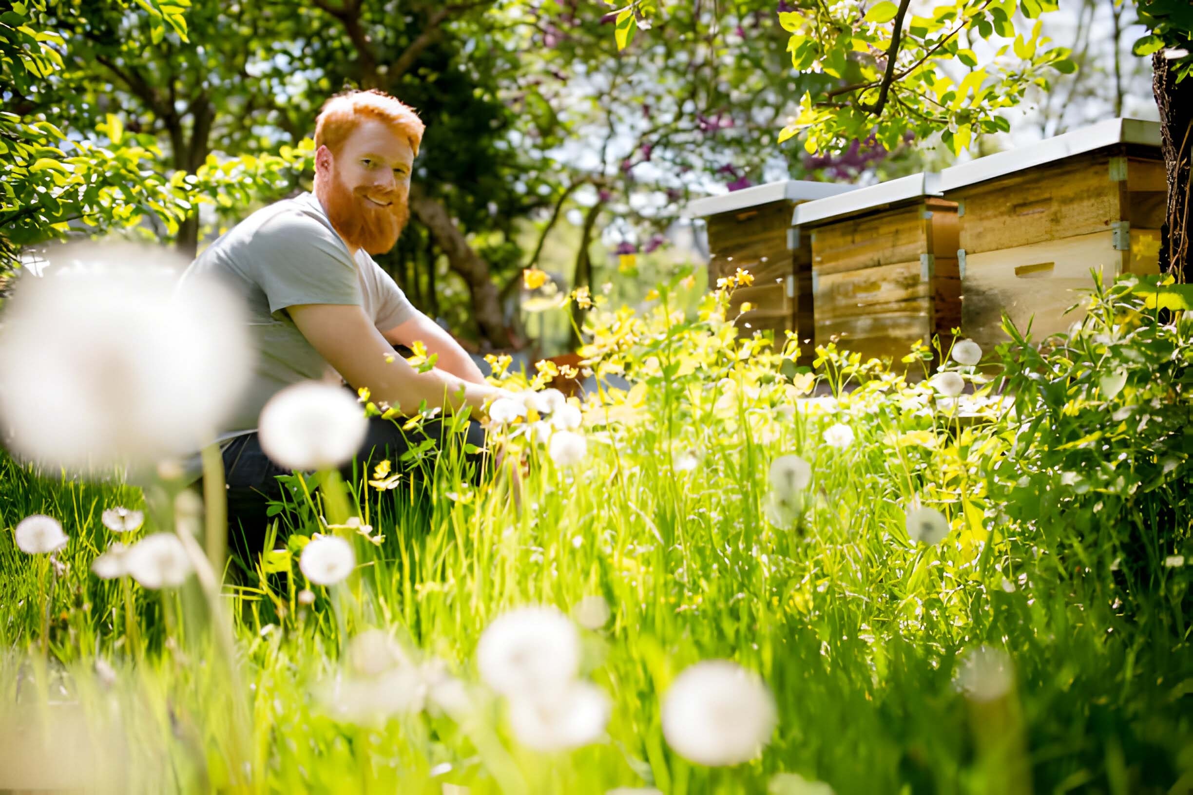 Créer un jardin respectueux des abeilles : conseils pratiques